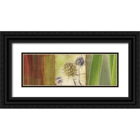 Organics Black Ornate Wood Framed Art Print with Double Matting by PI Studio