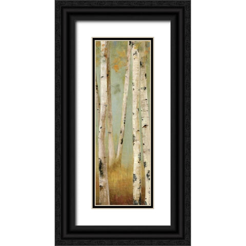 Eco Panel II Black Ornate Wood Framed Art Print with Double Matting by PI Studio