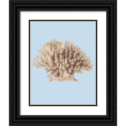 Coral I Black Ornate Wood Framed Art Print with Double Matting by PI Studio