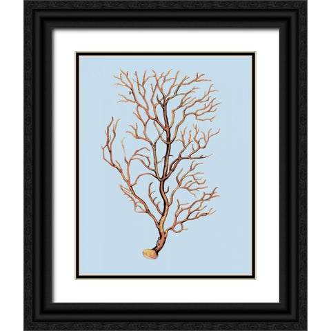 Coral IV Black Ornate Wood Framed Art Print with Double Matting by PI Studio