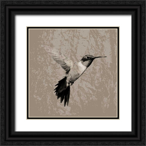 Feathered I Black Ornate Wood Framed Art Print with Double Matting by PI Studio