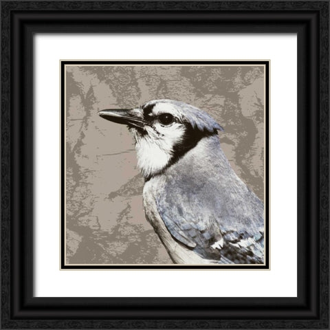 Feathered III Black Ornate Wood Framed Art Print with Double Matting by PI Studio