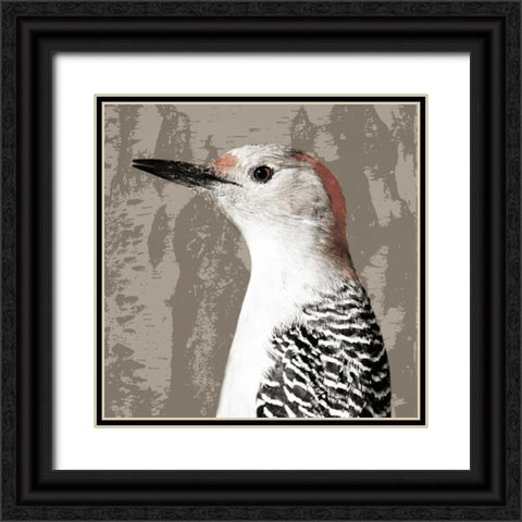 Feathered IV Black Ornate Wood Framed Art Print with Double Matting by PI Studio