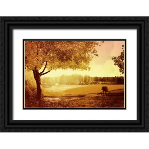 Golden Country Black Ornate Wood Framed Art Print with Double Matting by PI Studio