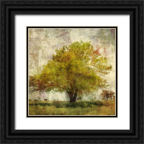 Vintage Tree Black Ornate Wood Framed Art Print with Double Matting by PI Studio