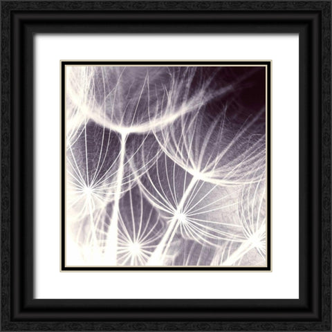 Blown Away Black Ornate Wood Framed Art Print with Double Matting by PI Studio