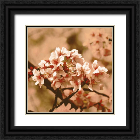 Posy Black Ornate Wood Framed Art Print with Double Matting by PI Studio