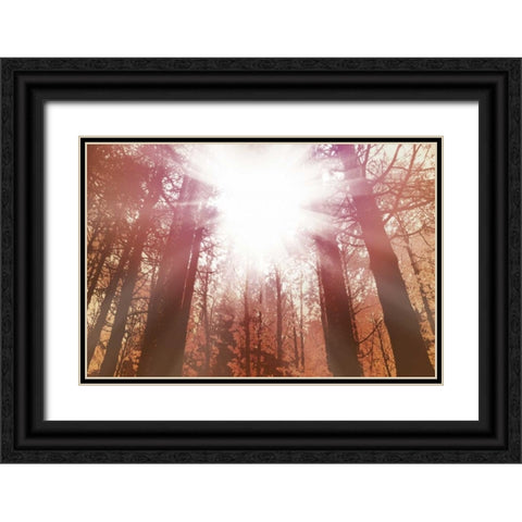 Sun Dance Black Ornate Wood Framed Art Print with Double Matting by PI Studio