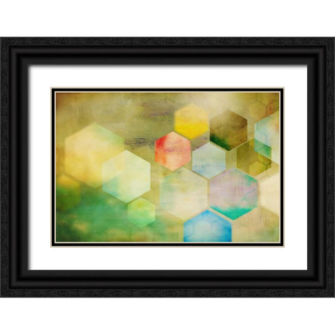 Honeycomb I Black Ornate Wood Framed Art Print with Double Matting by PI Studio