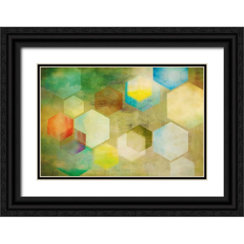 Honeycomb II Black Ornate Wood Framed Art Print with Double Matting by PI Studio