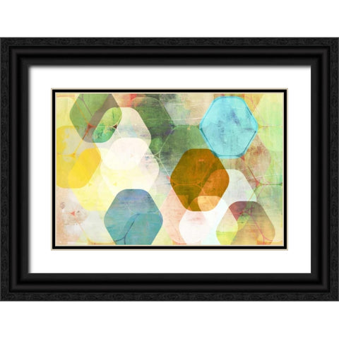 Rounded Hexagon I Black Ornate Wood Framed Art Print with Double Matting by PI Studio