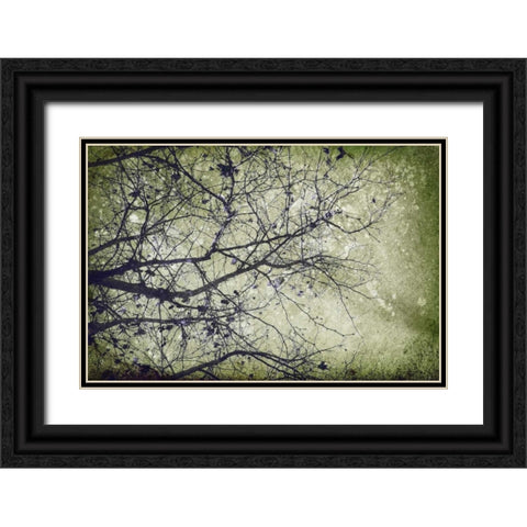 Atmospheric II Black Ornate Wood Framed Art Print with Double Matting by PI Studio