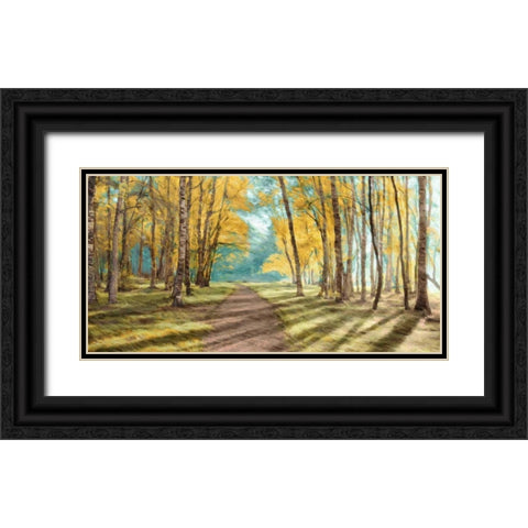 Pathfinder Black Ornate Wood Framed Art Print with Double Matting by PI Studio