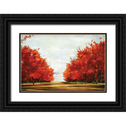 Red Glory Black Ornate Wood Framed Art Print with Double Matting by Pearce, Allison