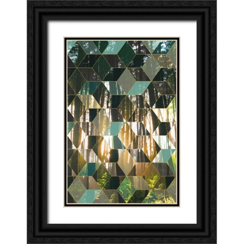 Kaleidescope Visions IV Black Ornate Wood Framed Art Print with Double Matting by PI Galerie