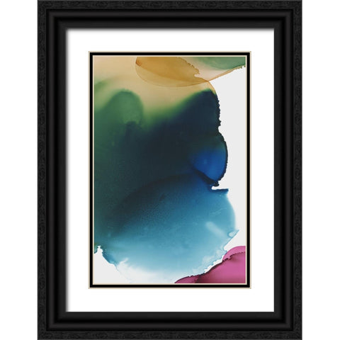 Rainbow Luster II  Black Ornate Wood Framed Art Print with Double Matting by PI Studio