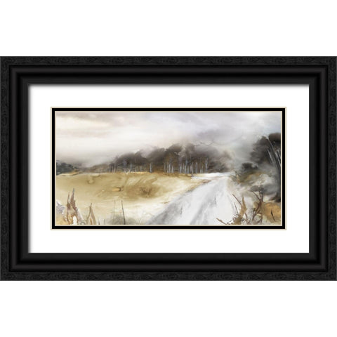After the Storm II  Black Ornate Wood Framed Art Print with Double Matting by PI Studio