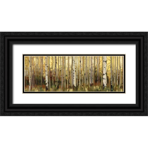 Forest Light Black Ornate Wood Framed Art Print with Double Matting by Pearce, Allison