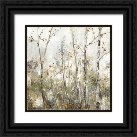Soft Birch Forest I  Black Ornate Wood Framed Art Print with Double Matting by Pearce, Allison