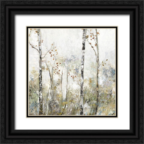 Soft Birch Forest II  Black Ornate Wood Framed Art Print with Double Matting by Pearce, Allison