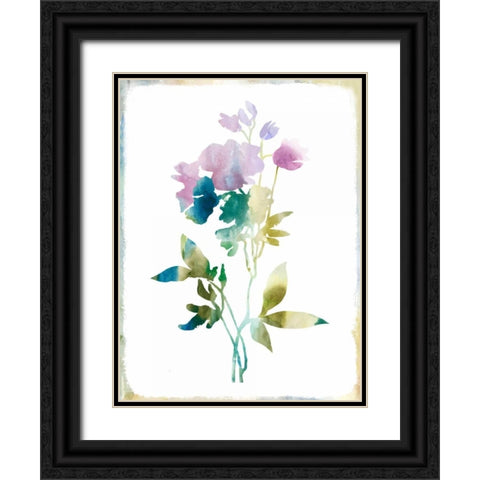 Summer Botanical II Black Ornate Wood Framed Art Print with Double Matting by PI Galerie