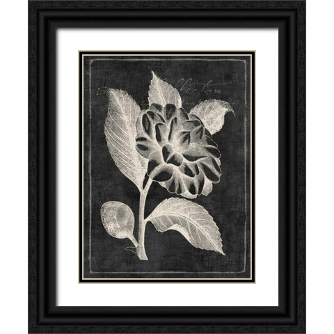 Black Botanical II Black Ornate Wood Framed Art Print with Double Matting by PI Galerie