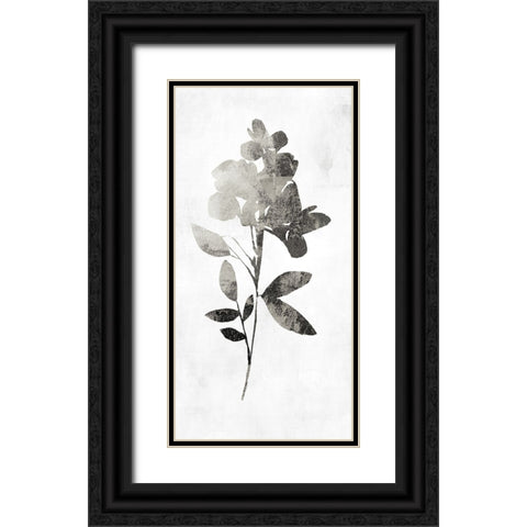 PI Studio Black Ornate Wood Framed Art Print with Double Matting by A Shadow Of A Flower I