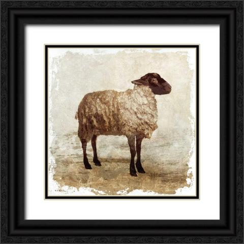 Sheep white border Black Ornate Wood Framed Art Print with Double Matting by PI Studio