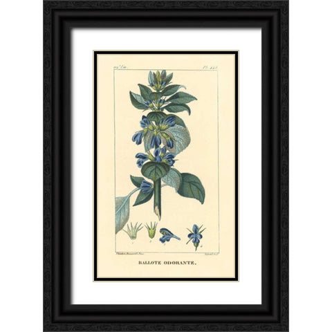 Ballote Oderante Black Ornate Wood Framed Art Print with Double Matting by PI Collection