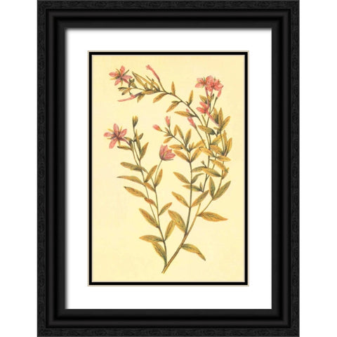 Broad Leaved Fireweed Black Ornate Wood Framed Art Print with Double Matting by PI Collection