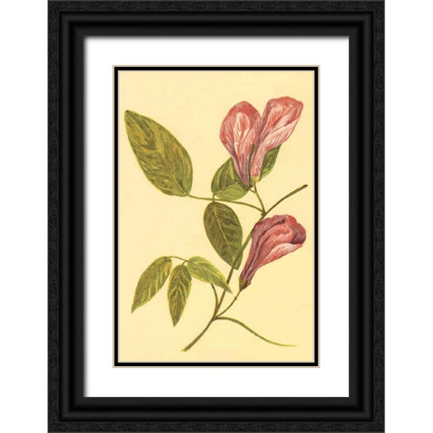 Butterfly Pea Black Ornate Wood Framed Art Print with Double Matting by PI Collection