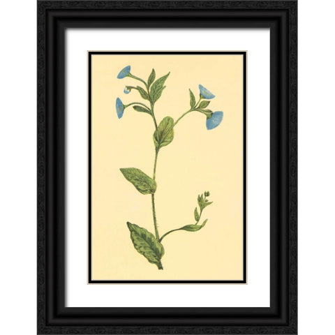 Common Fleabean Black Ornate Wood Framed Art Print with Double Matting by PI Collection