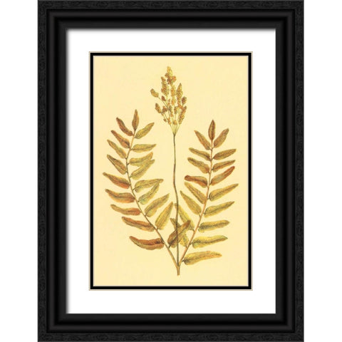 Flowering Fern Black Ornate Wood Framed Art Print with Double Matting by PI Collection