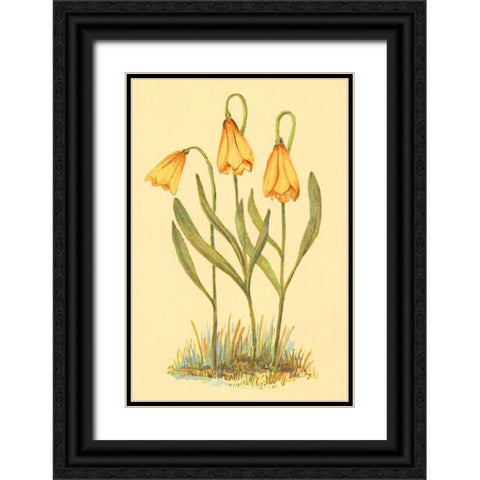 Fritillary Black Ornate Wood Framed Art Print with Double Matting by PI Collection