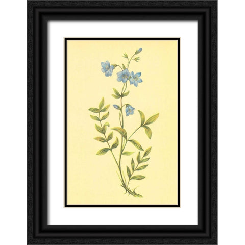Greek Valerian Black Ornate Wood Framed Art Print with Double Matting by PI Collection