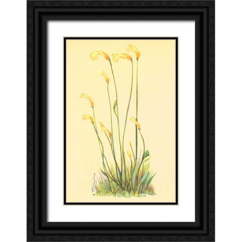 One Flowered Root Black Ornate Wood Framed Art Print with Double Matting by PI Collection