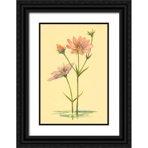 Sea Pink Black Ornate Wood Framed Art Print with Double Matting by PI Collection