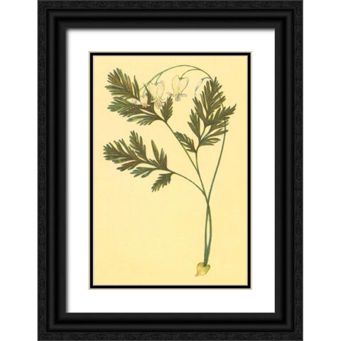 Squirrel Corn Black Ornate Wood Framed Art Print with Double Matting by PI Collection