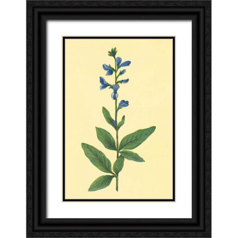 Tick Trefoil Black Ornate Wood Framed Art Print with Double Matting by PI Collection