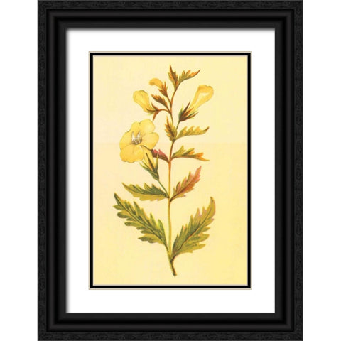 Yellow Fox Glove Black Ornate Wood Framed Art Print with Double Matting by PI Collection