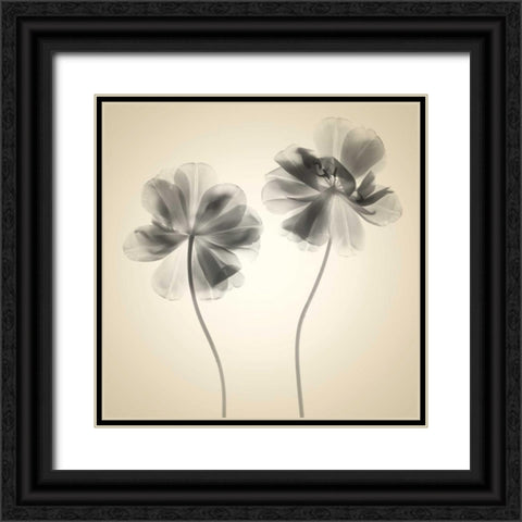 Soft I Black Ornate Wood Framed Art Print with Double Matting by Stalus, Judy