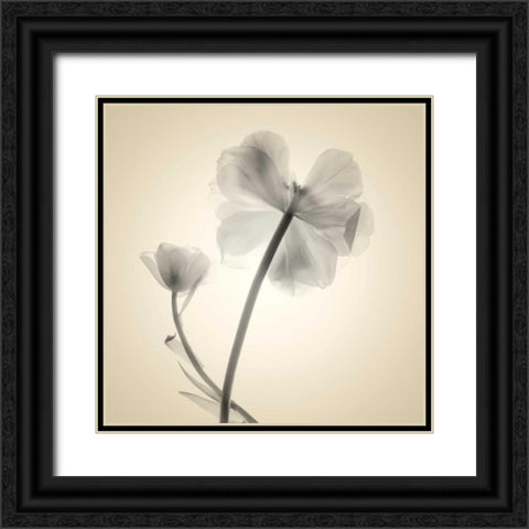 Soft II Black Ornate Wood Framed Art Print with Double Matting by Stalus, Judy