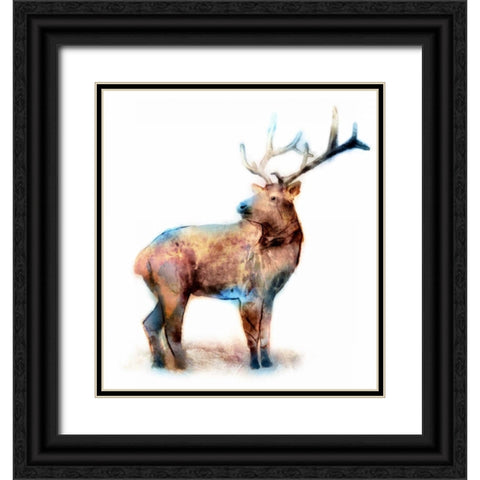 Elk Black Ornate Wood Framed Art Print with Double Matting by Selkirk, Edward