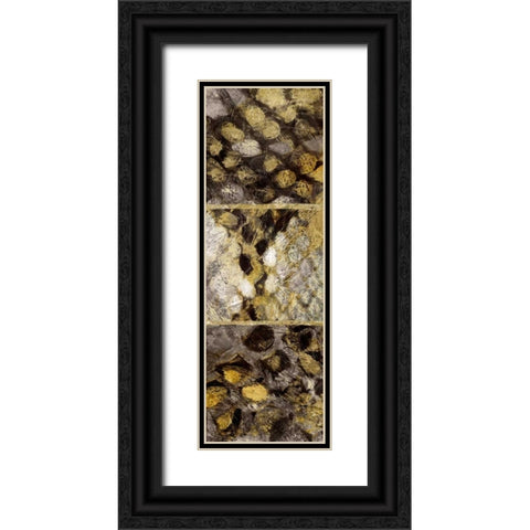 Snake Squares I Black Ornate Wood Framed Art Print with Double Matting by Selkirk, Edward