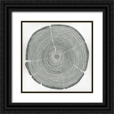 Time Lines Black Ornate Wood Framed Art Print with Double Matting by Pelliser, Sandrine