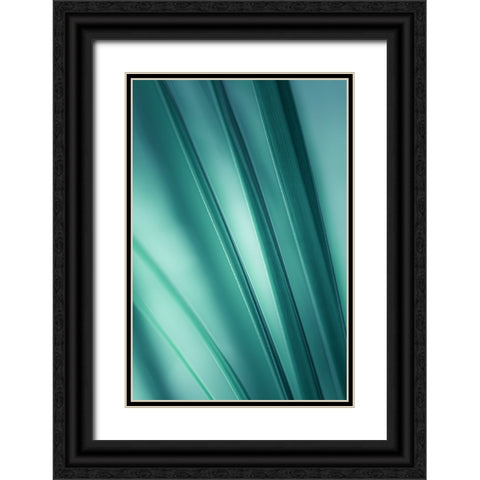 Tilting Blades  Black Ornate Wood Framed Art Print with Double Matting by Schwartz, Don