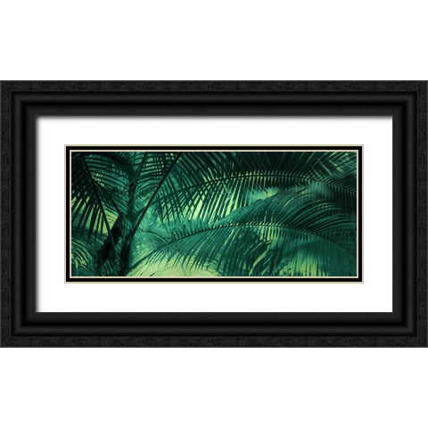 A Sunkissed Palms Black Ornate Wood Framed Art Print with Double Matting by Schwartz, Don