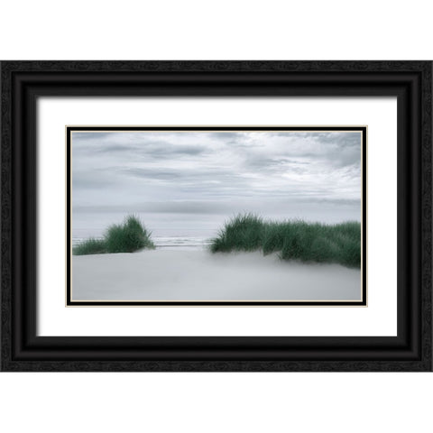 View Through the Dune Grasses Black Ornate Wood Framed Art Print with Double Matting by Schwartz, Don