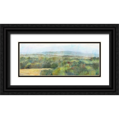 Sage View Black Ornate Wood Framed Art Print with Double Matting by Theodosiou, Matina