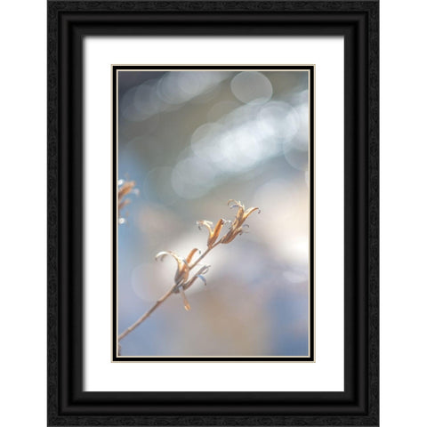 Spring Branch I  Black Ornate Wood Framed Art Print with Double Matting by J:L Design